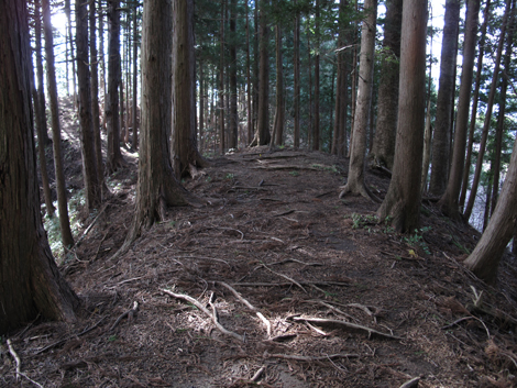 20161229hike (193)